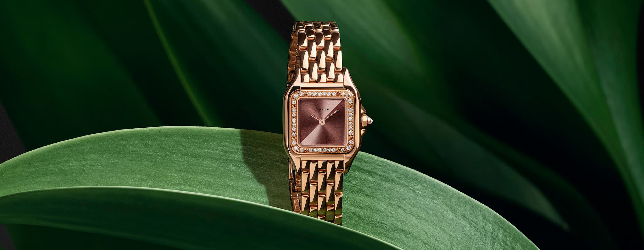 Panthère de Cartier